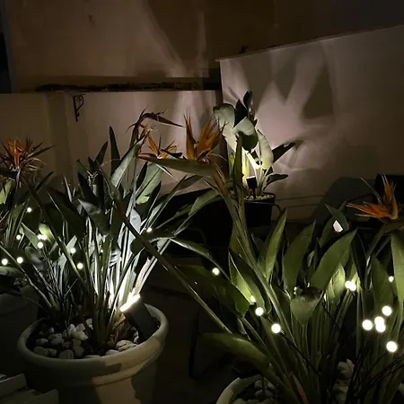 Il Civico 2 Bed & Breakfast 3*