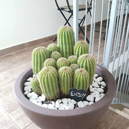 Bed & Breakfast Il Civico 2 Bari