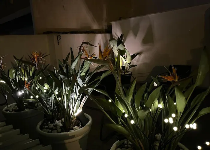 Il Civico 2 Bed & Breakfast 3*