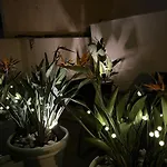 Il Civico 2 Bed & Breakfast 3*