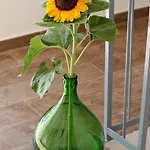 Bed & Breakfast Il Civico 2 Bari