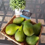 Nocleg ze śniadaniem Il Civico 2 Bari