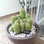 Bed & Breakfast Il Civico 2 Bari