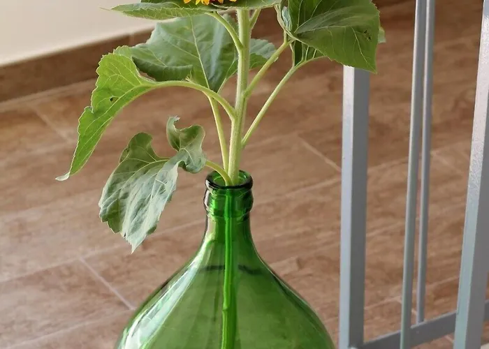 Couette-café Il Civico 2 Bari