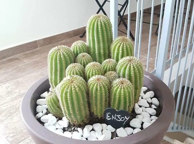 לינה וארוחת בוקר Il Civico 2 בארי